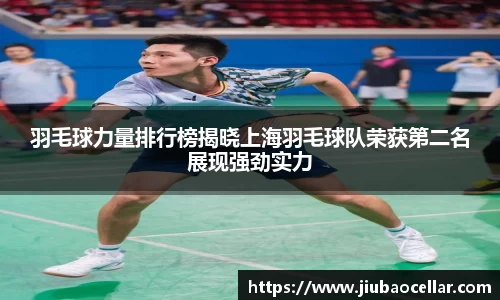 羽毛球力量排行榜揭晓上海羽毛球队荣获第二名展现强劲实力
